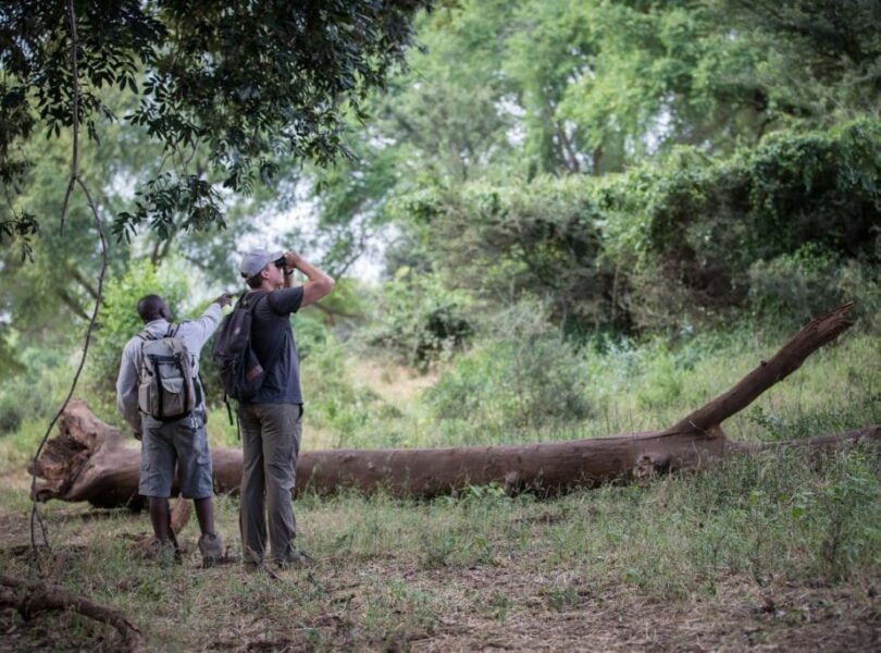 10 WARDROBE TIPS FOR A PAFURI WALKING SAFARI 11 | RETURN Africa Guided walking safari in a forest, Makuleke Concession, northern Kruger National Park