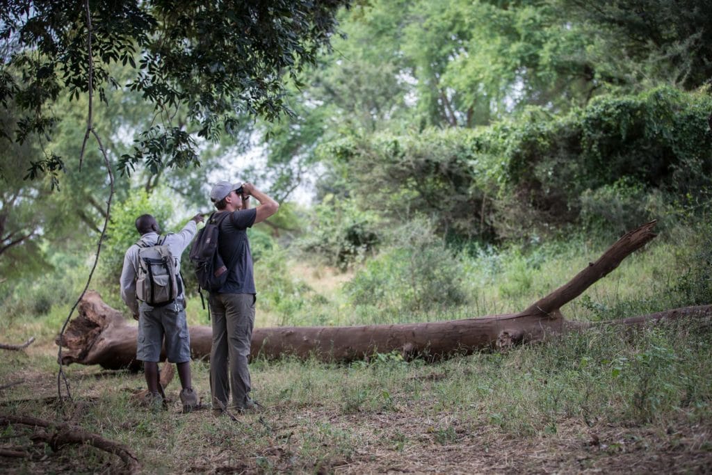 10 WARDROBE TIPS FOR A PAFURI WALKING SAFARI 1 | RETURN Africa Guided walking safari in a forest, Makuleke Concession, northern Kruger National Park