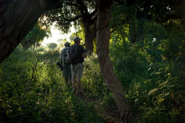10 WARDROBE TIPS FOR A PAFURI WALKING SAFARI 6 | RETURN Africa L1025584 768x511 1.jpeg | RETURN Africa | 10 WARDROBE TIPS FOR A PAFURI WALKING SAFARI