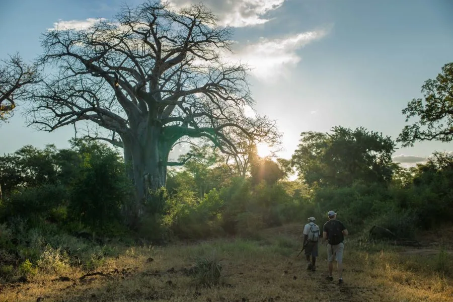10 WARDROBE TIPS FOR A PAFURI WALKING SAFARI 4 | RETURN Africa L1025597 900x600 1.jpeg | RETURN Africa | 10 WARDROBE TIPS FOR A PAFURI WALKING SAFARI
