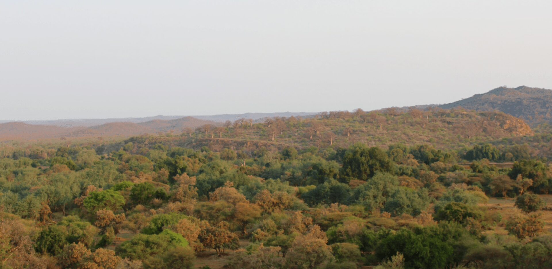 BUSH NEWS FROM RETURN AFRICA’S PAFURI CAMP 1 | RETURN Africa An aerial view of the Makuleke Concession, northern Kruger