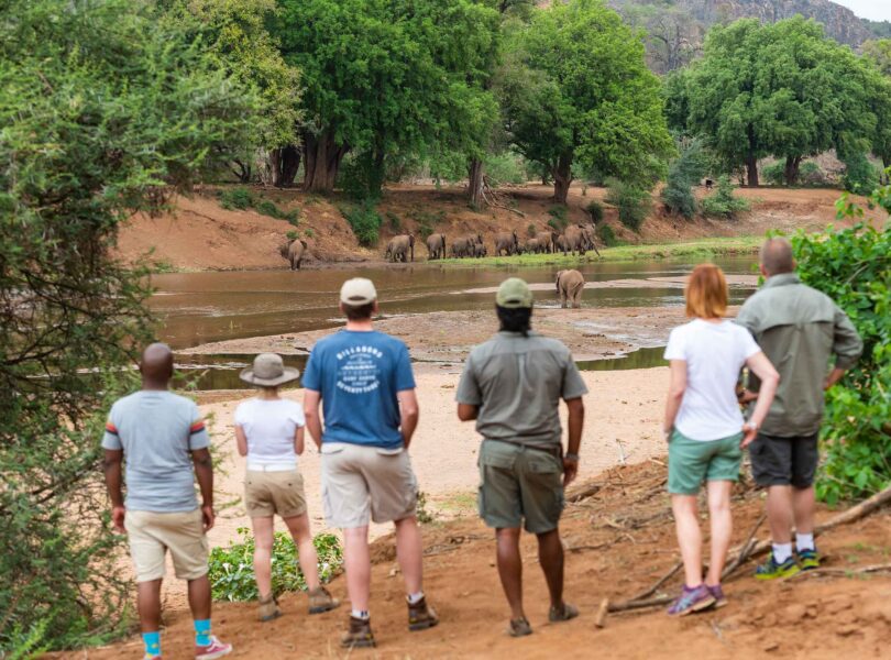 HUTWINI WALKING SAFARIS CAMP SET TO REOPEN AFTER MAJOR UPGRADES 4 | RETURN Africa Header image walking safaris elephants
