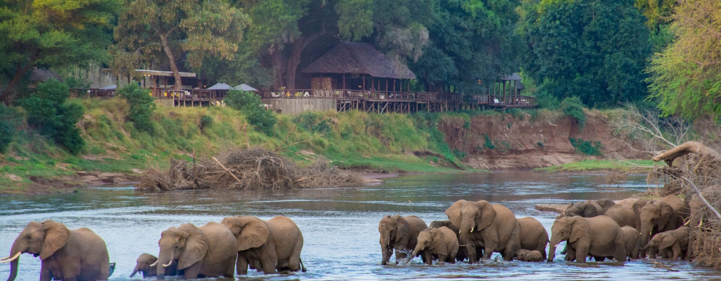 RETURN AFRICA'S GENERAL MANAGER HONOURED IN DAILY MAVERICK'S 'SPIRIT OF MADIBA' LIST 1 | RETURN Africa 1. Pafuri Tented camp with Elephants in front Luvuvhu River Drinks 7 scaled 1