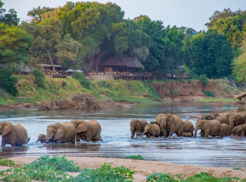 1. Pafuri Tented camp with Elephants in front Luvuvhu River Drinks 7 scaled 1