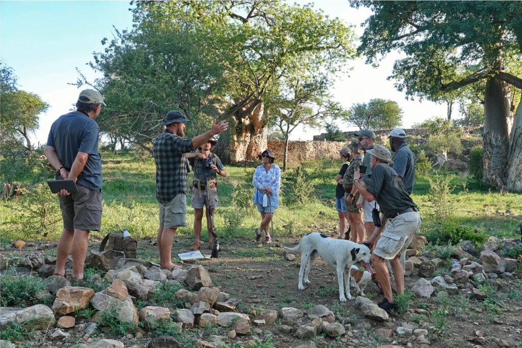 RETURN Africa Blog 48 | RETURN Africa | PAFURI’S GREEN SEASON: A VIBRANT SAFARI EXPERIENCE