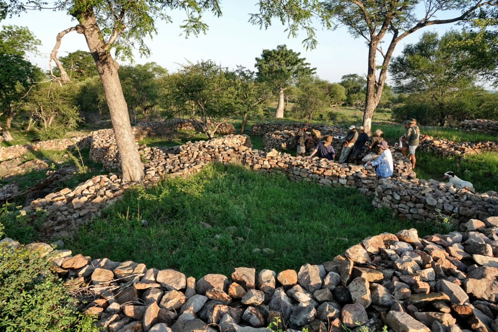 RETURN Africa Blog 49 | RETURN Africa | PAFURI’S GREEN SEASON: A VIBRANT SAFARI EXPERIENCE