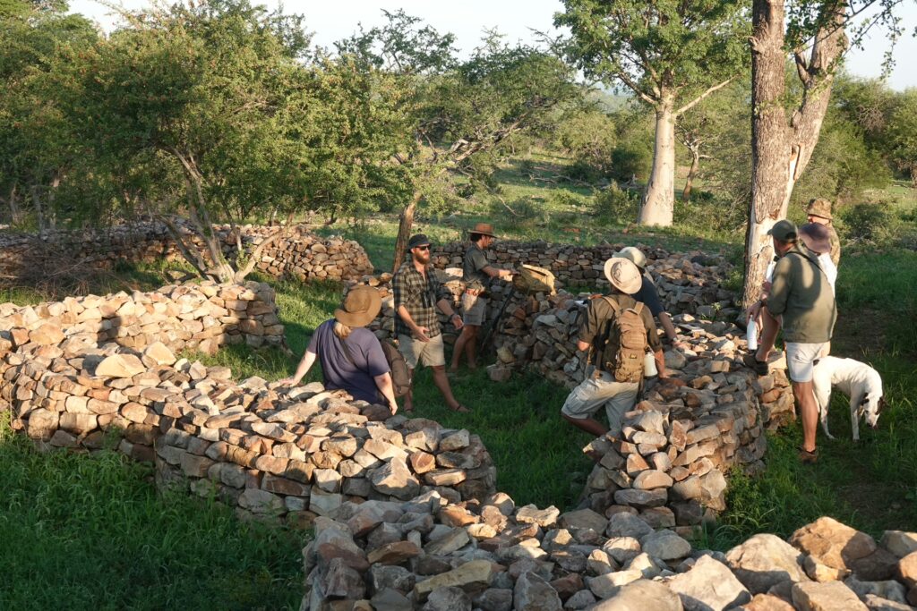 RETURN Africa Blog 50 | RETURN Africa | PAFURI’S GREEN SEASON: A VIBRANT SAFARI EXPERIENCE