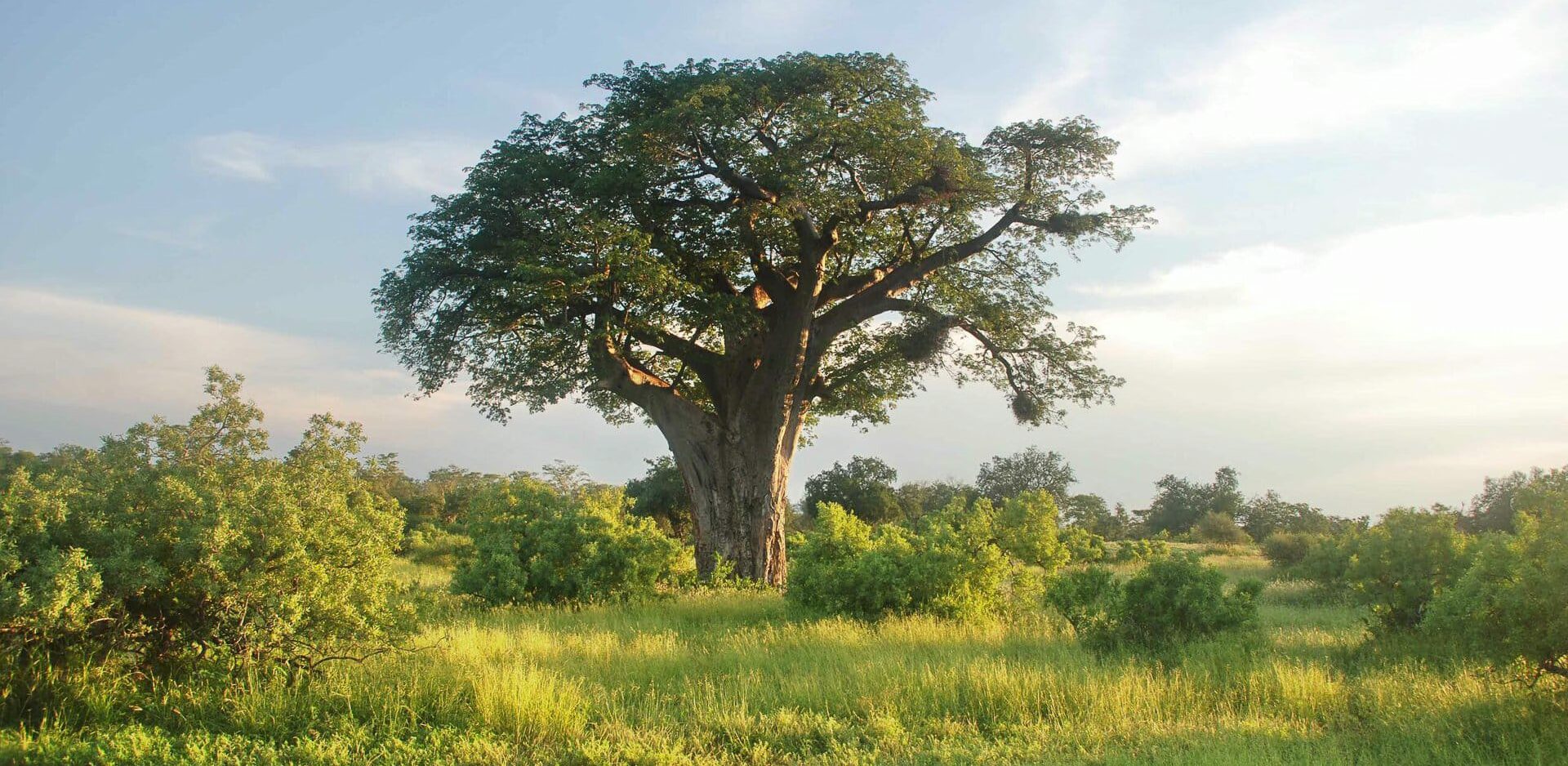 RETURN Africa Blog 65