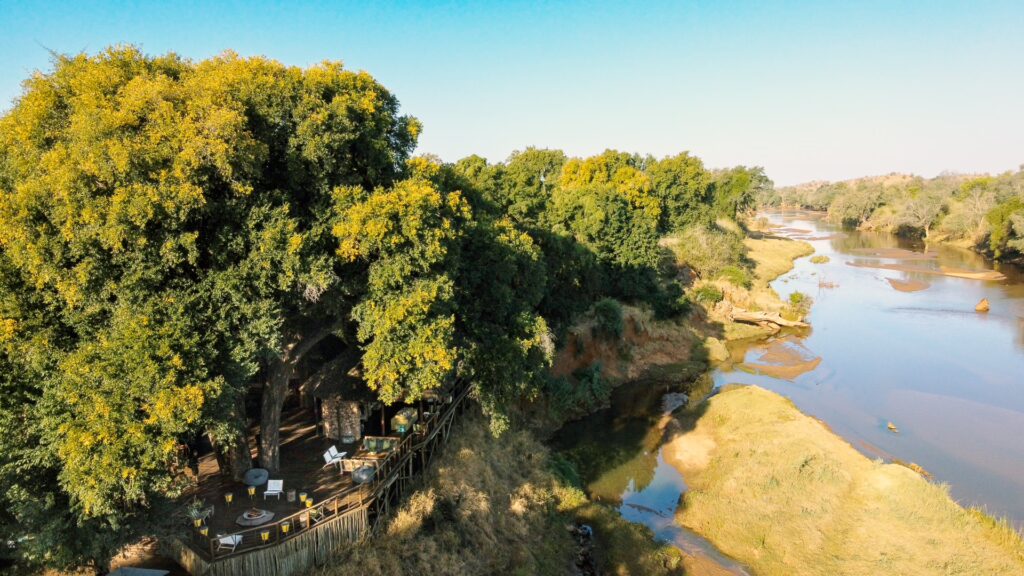 THE TREES OF PAFURI: PILLARS OF LIFE, HISTORY AND LEGEND BY HARALD VAN LENNEP 6 | RETURN Africa RETURN Africa Blog 69 | RETURN Africa | THE TREES OF PAFURI: PILLARS OF LIFE, HISTORY AND LEGEND BY HARALD VAN LENNEP