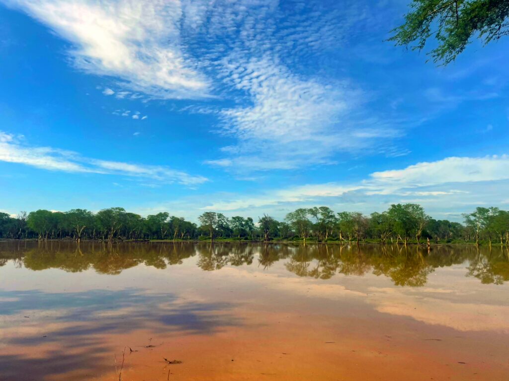 PAFURI: RAIN, RIVERS, FLOODS AND A RAMSAR WETLAND 16 | RETURN Africa RETURN Africa Blog 11 | RETURN Africa | PAFURI: RAIN, RIVERS, FLOODS AND A RAMSAR WETLAND