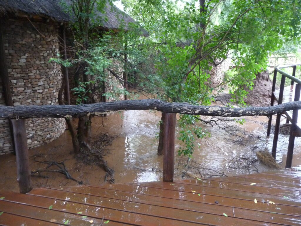 PAFURI: RAIN, RIVERS, FLOODS AND A RAMSAR WETLAND 9 | RETURN Africa RETURN Africa Blog 3 | RETURN Africa | PAFURI: RAIN, RIVERS, FLOODS AND A RAMSAR WETLAND