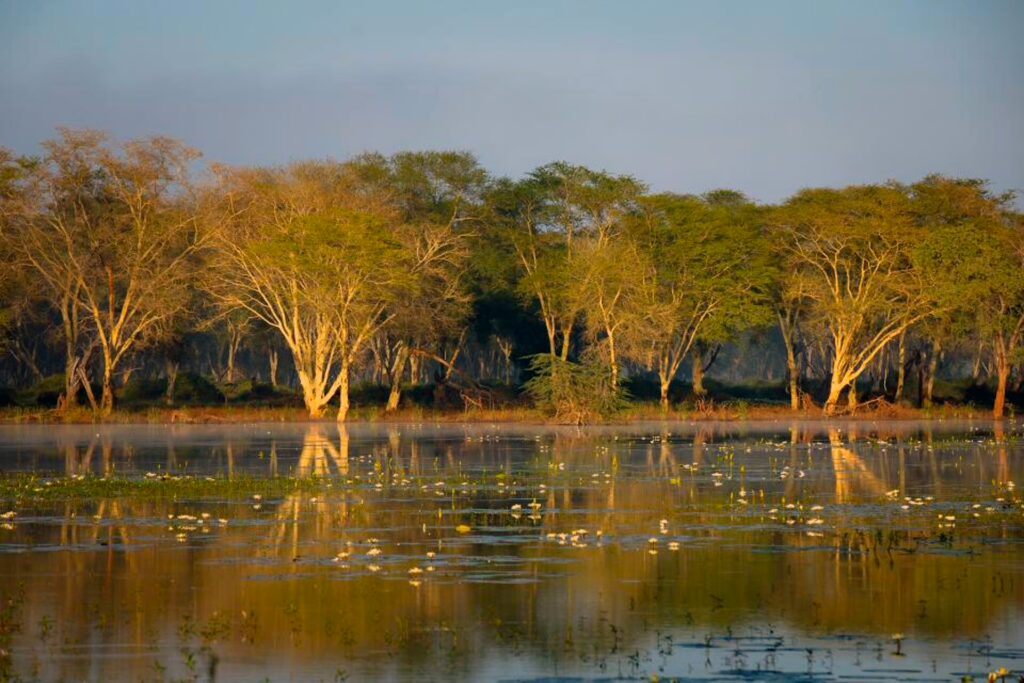 PAFURI: RAIN, RIVERS, FLOODS AND A RAMSAR WETLAND 17 | RETURN Africa RETURN Africa Blog 85 | RETURN Africa | PAFURI: RAIN, RIVERS, FLOODS AND A RAMSAR WETLAND