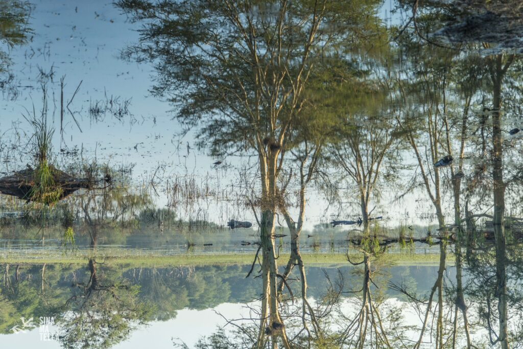STEPPING INTO PAFURI: A PERSONAL REFLECTION 8 | RETURN Africa RETURN Africa Blog 105 | RETURN Africa | STEPPING INTO PAFURI: A PERSONAL REFLECTION