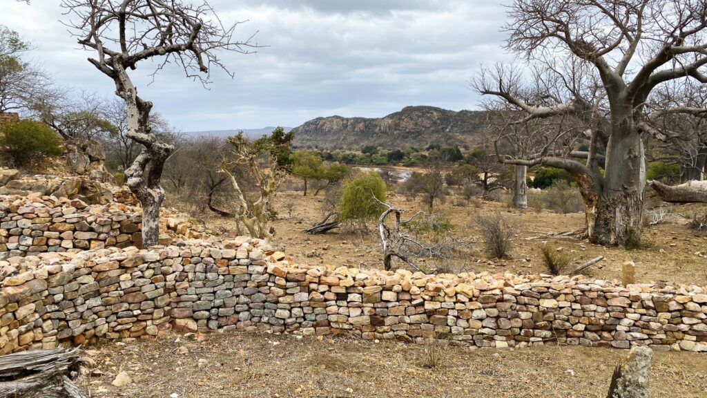 STEPPING INTO PAFURI: A PERSONAL REFLECTION 10 | RETURN Africa RETURN Africa Blog 107 | RETURN Africa | STEPPING INTO PAFURI: A PERSONAL REFLECTION
