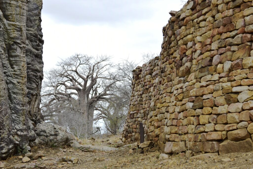 STEPPING INTO PAFURI: A PERSONAL REFLECTION 11 | RETURN Africa RETURN Africa Blog 108 | RETURN Africa | STEPPING INTO PAFURI: A PERSONAL REFLECTION