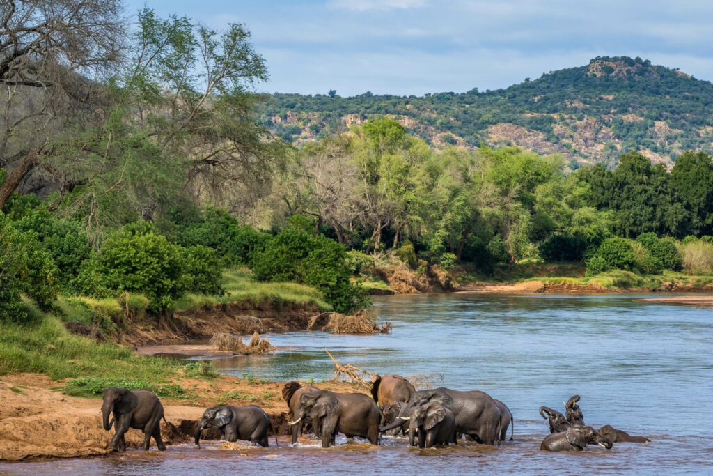 STEPPING INTO PAFURI: A PERSONAL REFLECTION 12 | RETURN Africa RETURN Africa Blog 109 | RETURN Africa | STEPPING INTO PAFURI: A PERSONAL REFLECTION