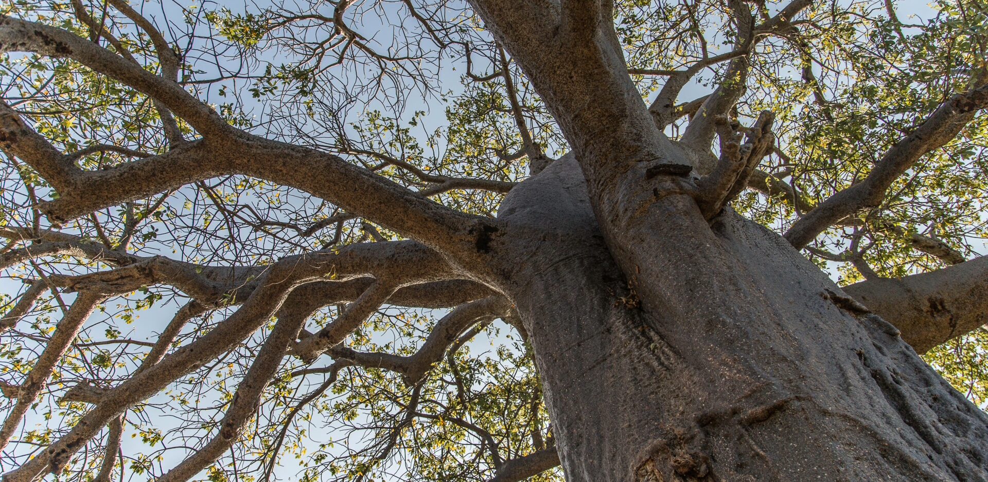 STEPPING INTO PAFURI: A PERSONAL REFLECTION 1 | RETURN Africa RETURN Africa Blog 112