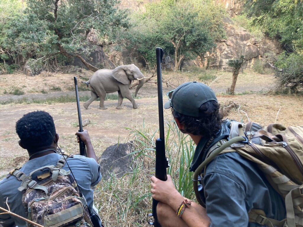 ON FOOT THROUGH NORTHERN KRUGER 3 | RETURN Africa RETURN Africa Blog 113 | RETURN Africa | ON FOOT THROUGH NORTHERN KRUGER