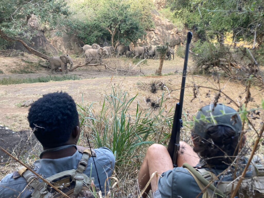 ON FOOT THROUGH NORTHERN KRUGER 5 | RETURN Africa RETURN Africa Blog 114 | RETURN Africa | ON FOOT THROUGH NORTHERN KRUGER
