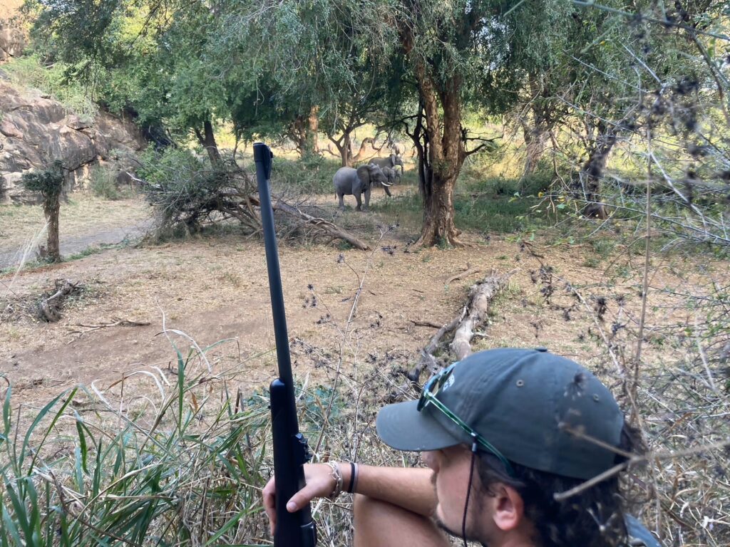 ON FOOT THROUGH NORTHERN KRUGER 4 | RETURN Africa RETURN Africa Blog 115 | RETURN Africa | ON FOOT THROUGH NORTHERN KRUGER
