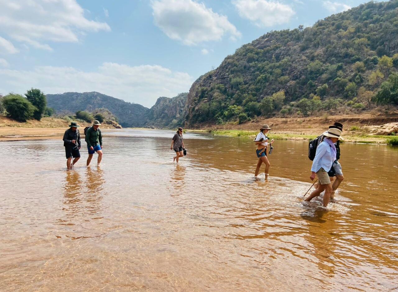 PRESS RELEASE: PAFURI WALKING SAFARIS OPEN FOR 2025 SEASON 1 | RETURN Africa WhatsApp Image 2025 03 19 at 14.59.45
