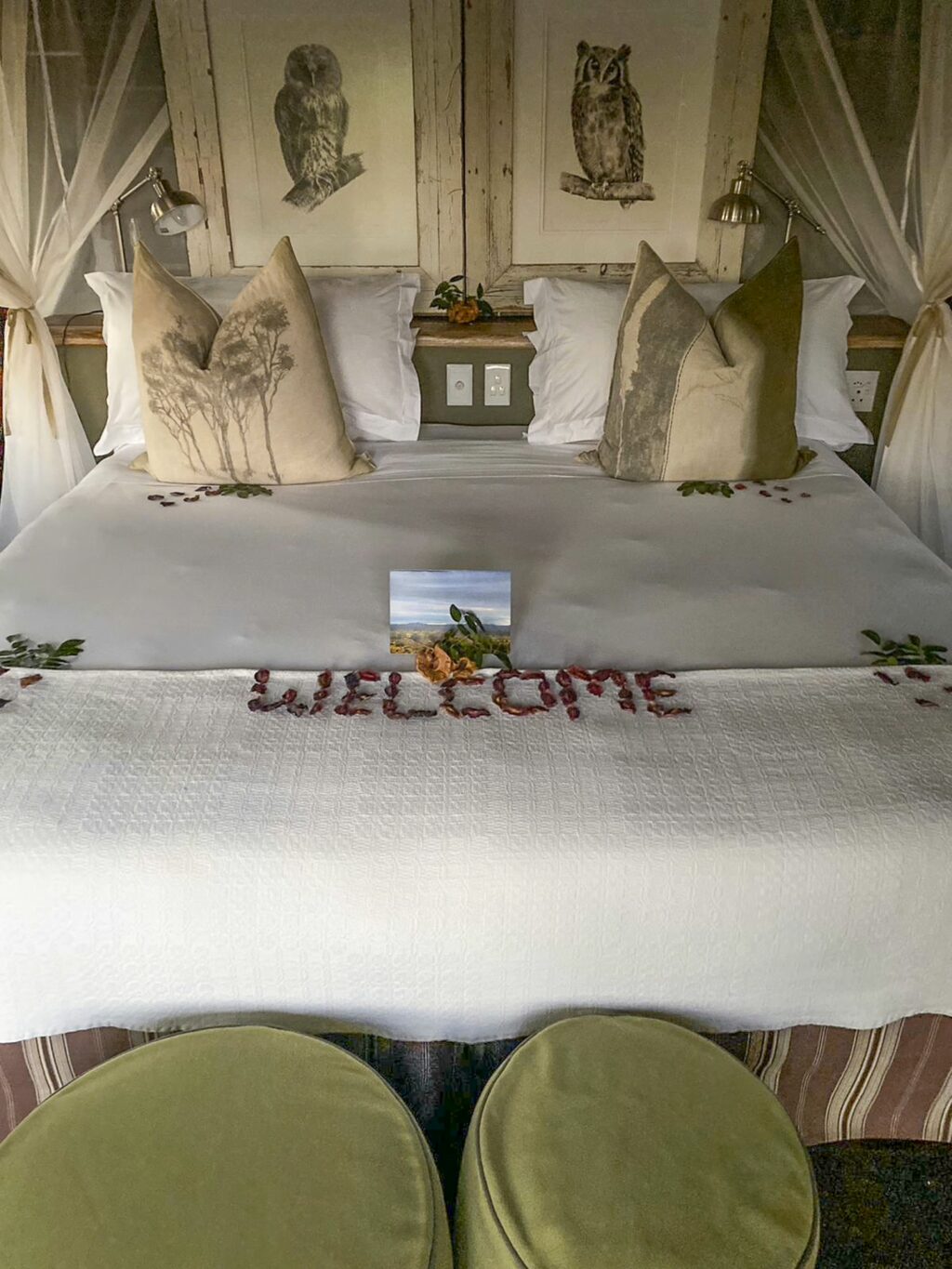 “DAD, CAN WE LIVE HERE?” – A FAMILY ESCAPE TO PAFURI CAMP 2 | RETURN Africa RETURN Africa Blog 133 | RETURN Africa | “DAD, CAN WE LIVE HERE?” – A FAMILY ESCAPE TO PAFURI CAMP