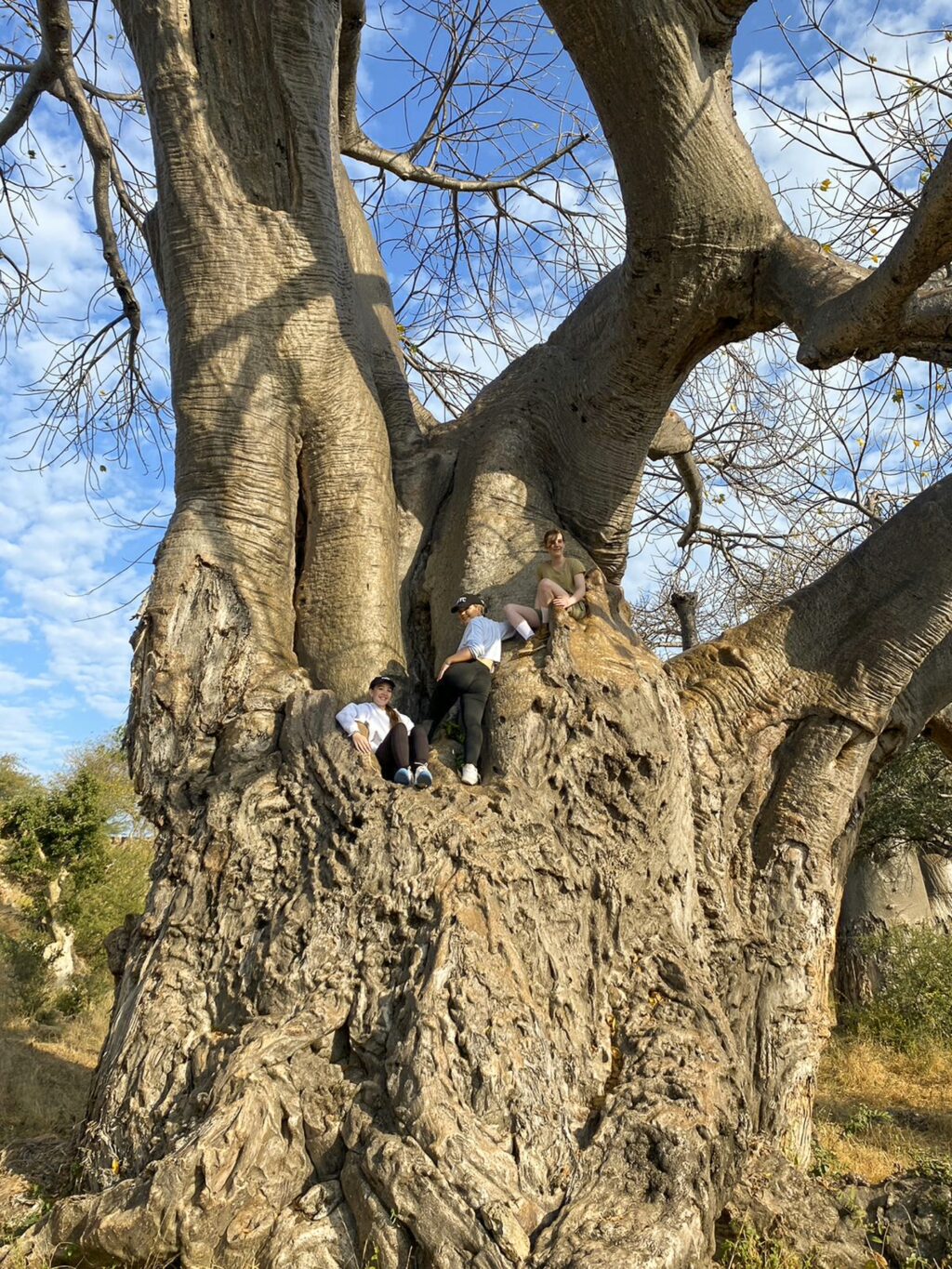 “DAD, CAN WE LIVE HERE?” – A FAMILY ESCAPE TO PAFURI CAMP 5 | RETURN Africa RETURN Africa Blog 136 | RETURN Africa | “DAD, CAN WE LIVE HERE?” – A FAMILY ESCAPE TO PAFURI CAMP