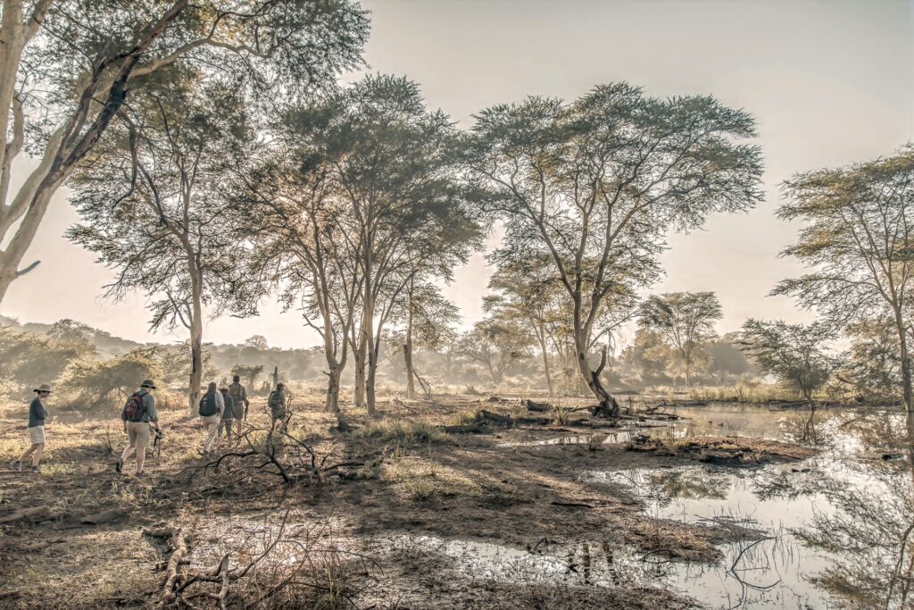 RETURN Africa Blog 143 | RETURN Africa | RETURN TO STILLNESS: PAFURI IN THE DRY SEASON