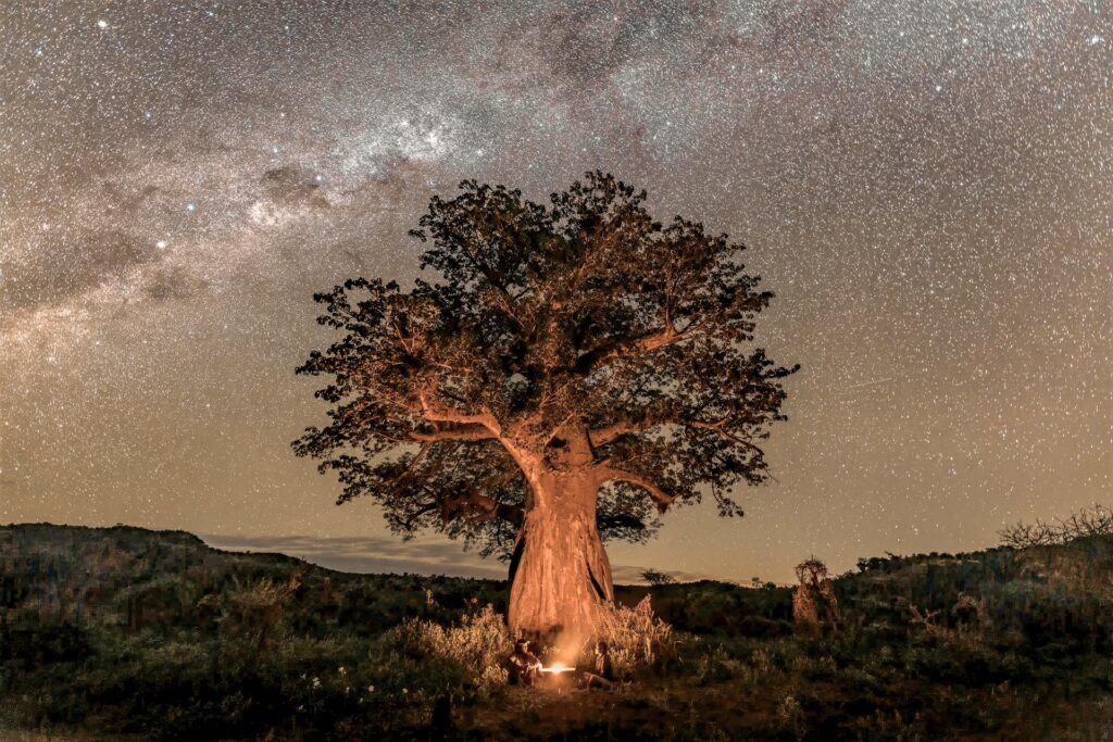 RETURN Africa Blog 144 | RETURN Africa | RETURN TO STILLNESS: PAFURI IN THE DRY SEASON
