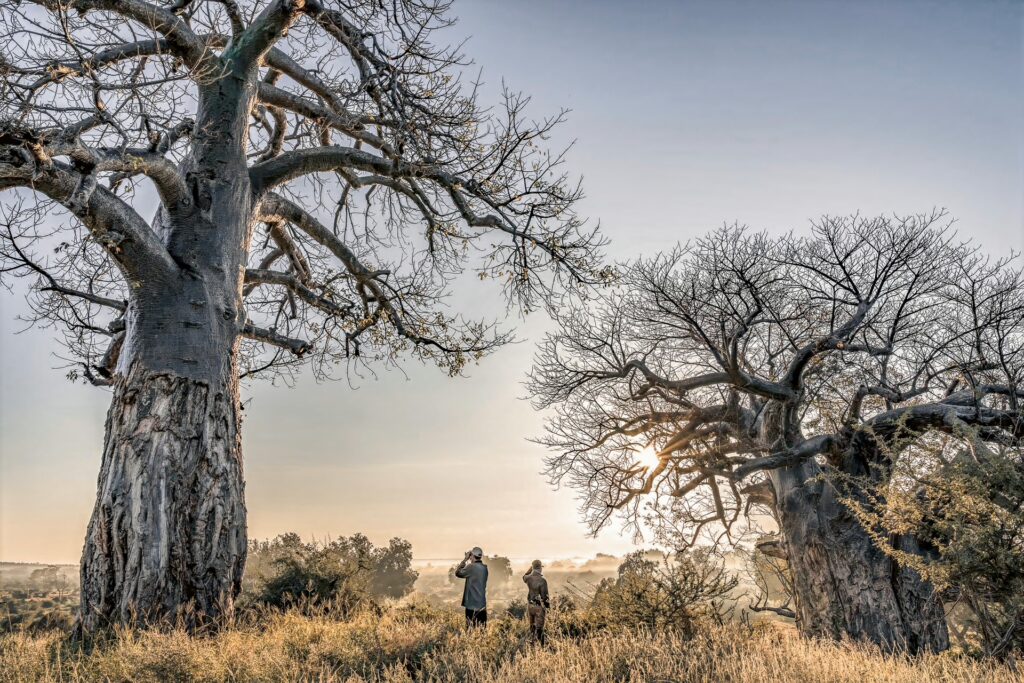 RETURN Africa Blog 145 | RETURN Africa | RETURN TO STILLNESS: PAFURI IN THE DRY SEASON