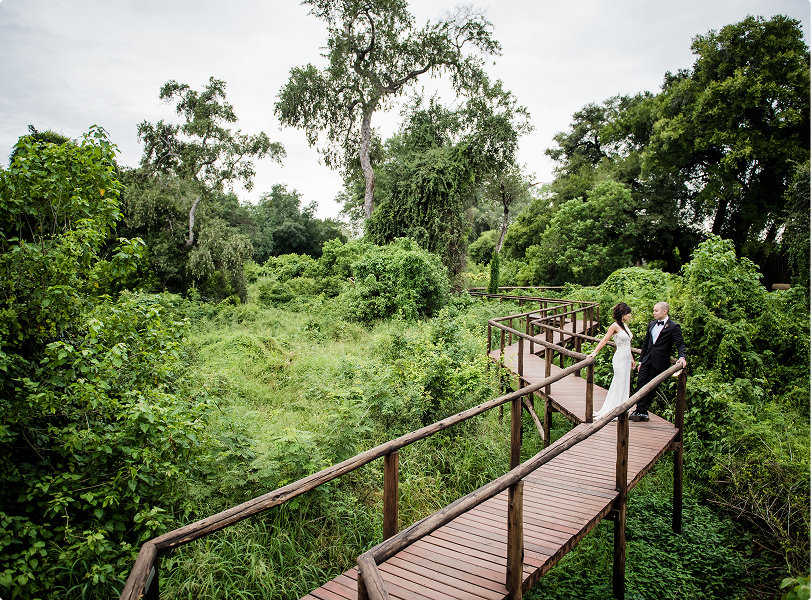 Experience weddings | RETURN Africa | Pafuri Collection Experiences