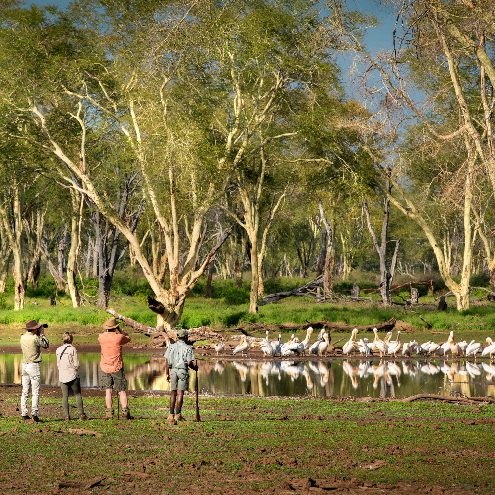 Pafuri Collection USP Ramsar Wetlands | RETURN Africa | Pafuri Collection
