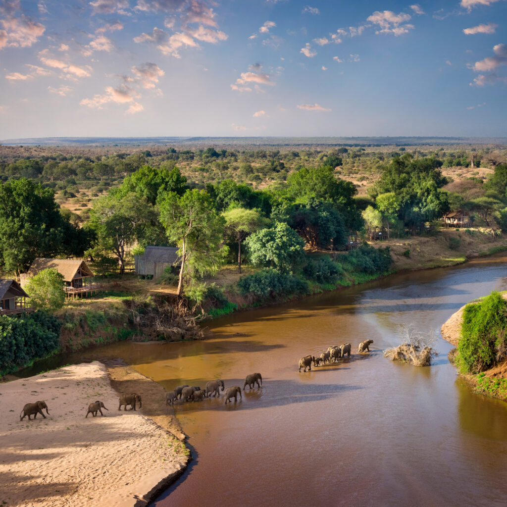 About Us Pafuri Collection | RETURN Africa | About us
