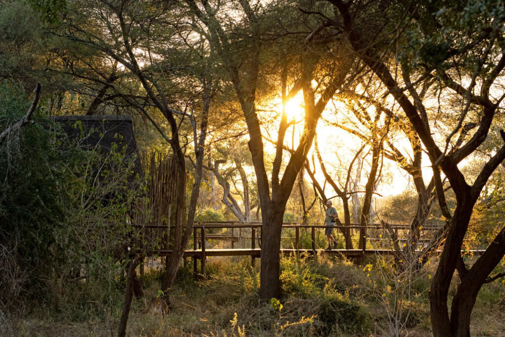 Pafuri Camp Riverview Tent 13 | RETURN Africa | Riverview Tent