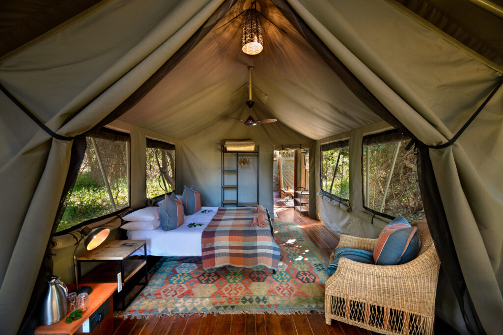 Pafuri Collection Hutwini Walking Camp 16 | RETURN Africa | Hutwini Walking Camp