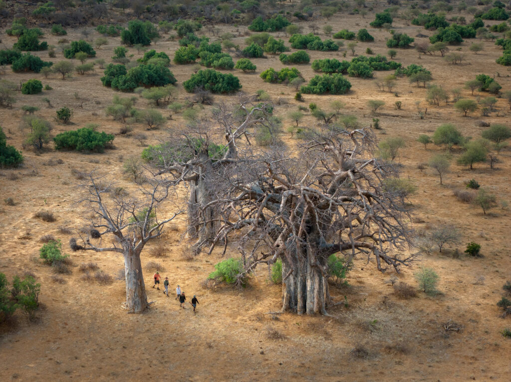 Pafuri Collection Hutwini Walking Camp 19 | RETURN Africa | Hutwini Walking Camp