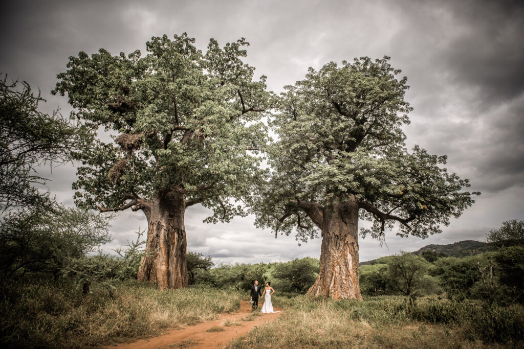 Pafuri Weddings – Celebrate and Connect in the Heart of Nature 2 | RETURN Africa Pafuri Wedding Gallery 4 | RETURN Africa | Pafuri Weddings – Celebrate and Connect in the Heart of Nature