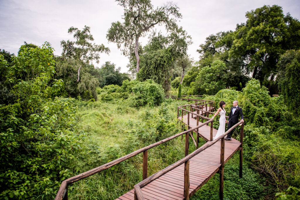 Pafuri Weddings – Celebrate and Connect in the Heart of Nature 4 | RETURN Africa Pafuri Wedding Gallery 6 | RETURN Africa | Pafuri Weddings – Celebrate and Connect in the Heart of Nature