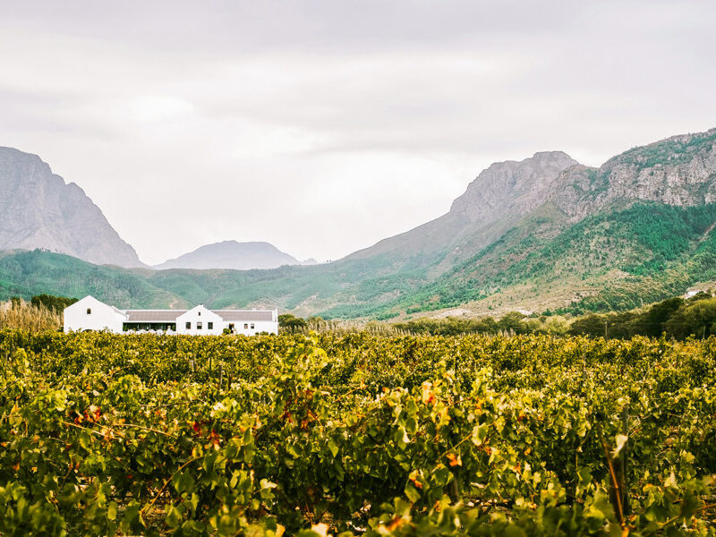 th Cape Winelands Tour edited | RETURN Africa | An African Story
