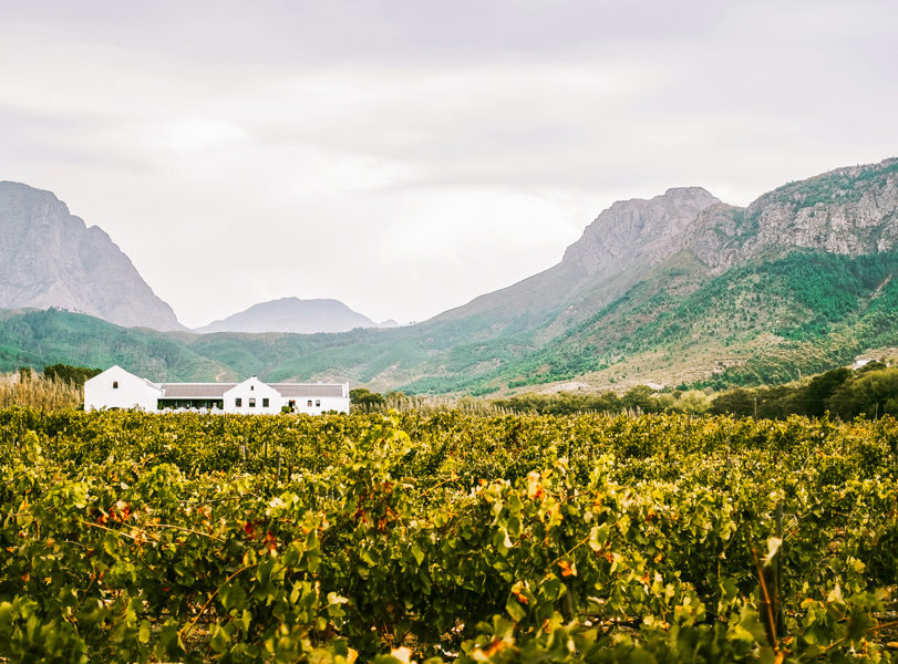 th Cape Winelands Tour | RETURN Africa | Cape Collection Experiences