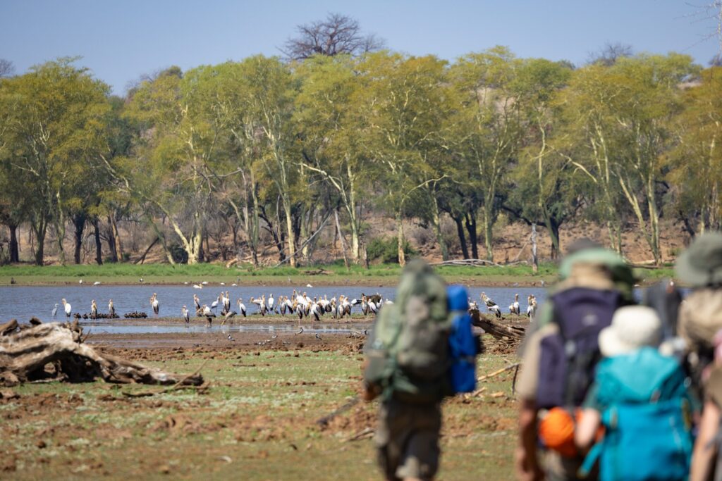 RETURN AFRICA’S 2025: GROWTH, CONNECTION, AND SLOW JOURNEYS 5 | RETURN Africa pafuri traverse 150 | RETURN Africa | RETURN AFRICA’S 2025: GROWTH, CONNECTION, AND SLOW JOURNEYS