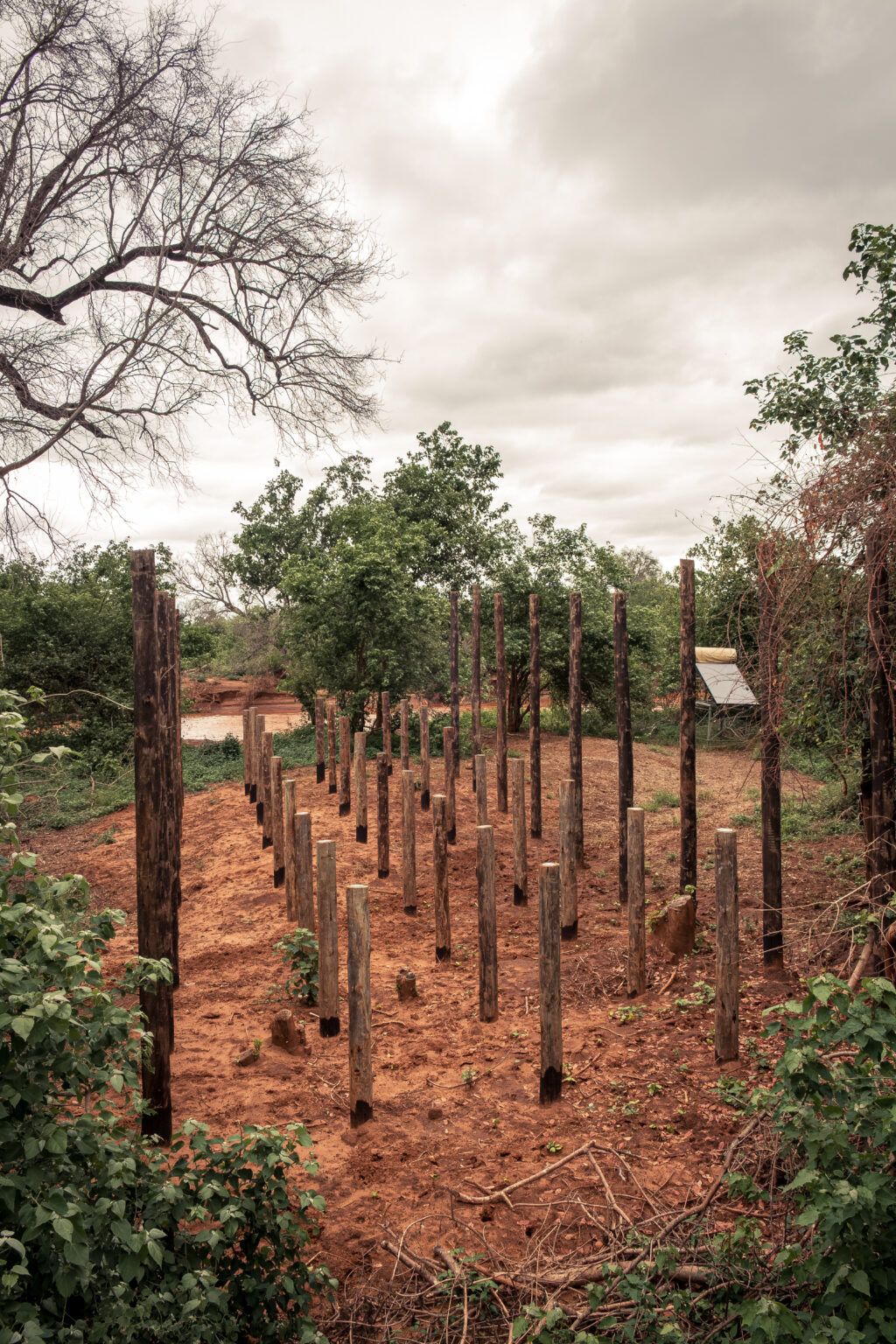 CEO UPDATE: PAFURI COLLECTION - A SECOND FLOOD, DFFE APPROVAL, AND THE PATH FORWARD 4 | RETURN Africa DFFE-approved rebuild of Pafuri Camp underway, March 2026 / Pafuri Camp tent structure damaged by second Luvuvhu flood, 2026 / Pafuri Collection rebuild in progress following Luvuvhu River floods