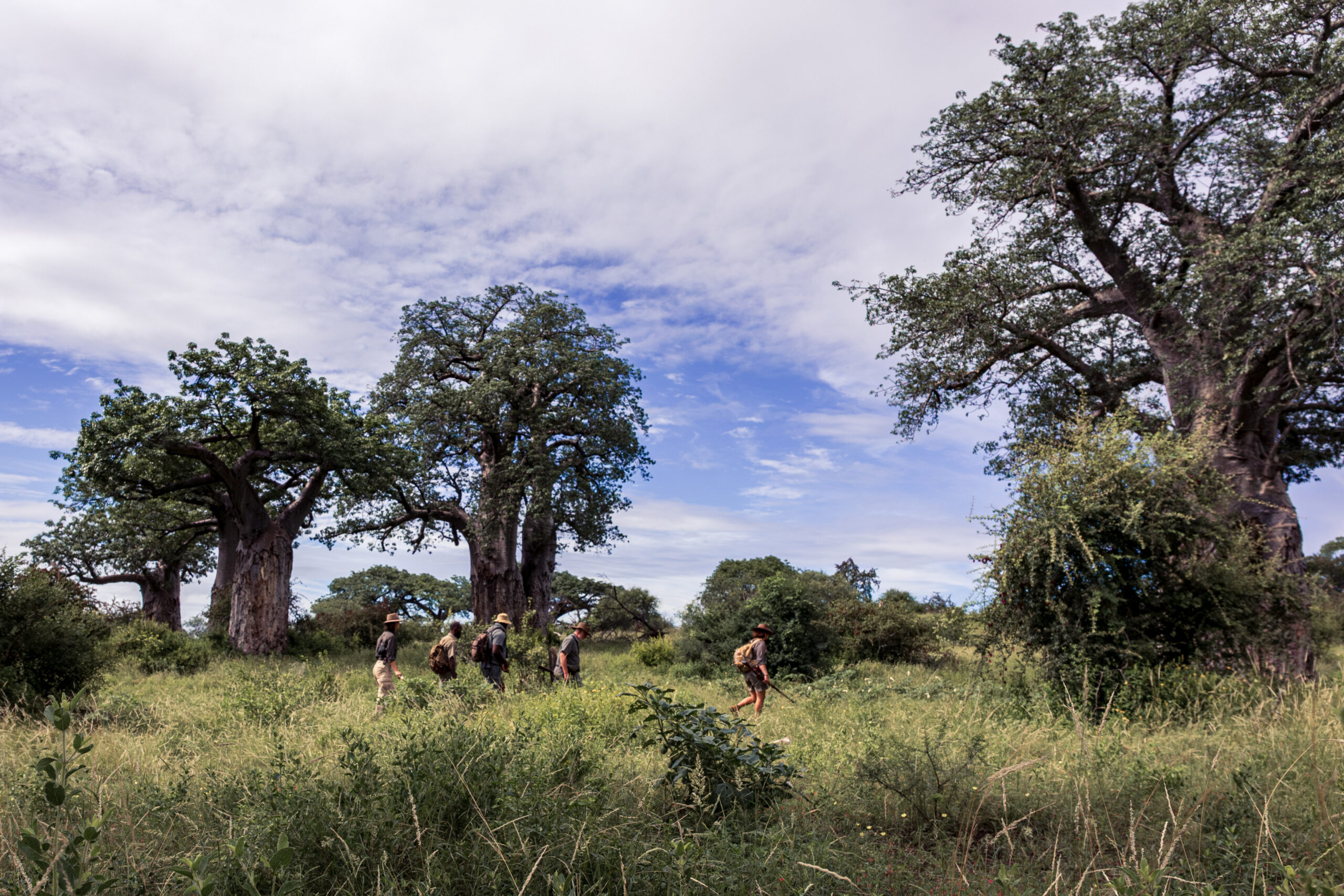 RETURN AFRICA OPENS PAFURI WALKING SAFARIS FOR A SEASON OF RENEWAL 4 | RETURN Africa RETURN AFRICA OPENS PAFURI WALKING SAFARIS FOR A SEASON OF RENEWAL
